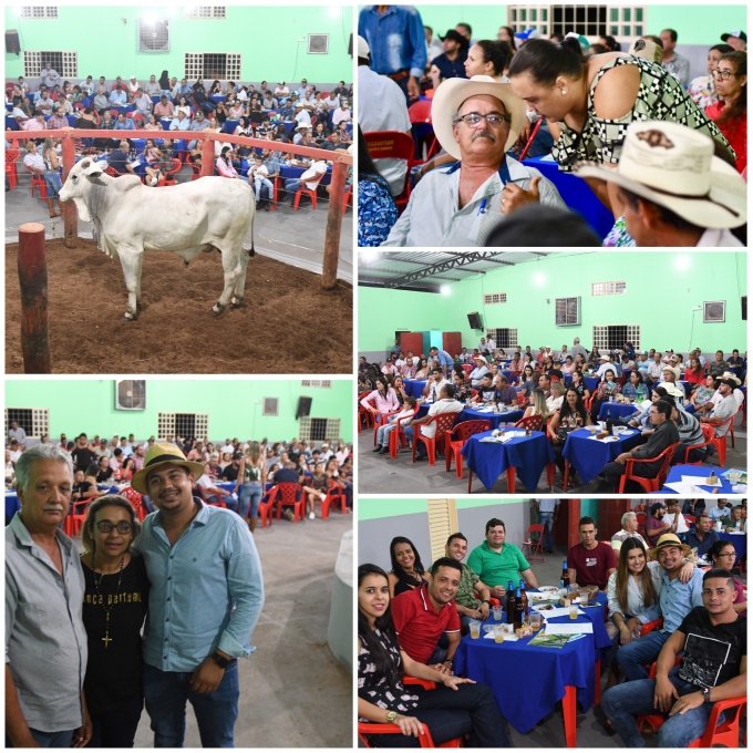 Fazenda Villar realiza concorrido leilÃ£o de gado nelore em Santa Terezinha de GoiÃ¡s