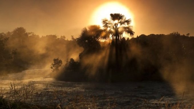 Como as raÃ­zes do Cerrado levam Ã¡gua a torneiras de todas as regiÃµes do Brasil