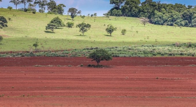 GoiÃ¡s perde 47% da Ã¡rea nativa de vegetaÃ§Ã£o entre 2000 e 2014, diz IBGE