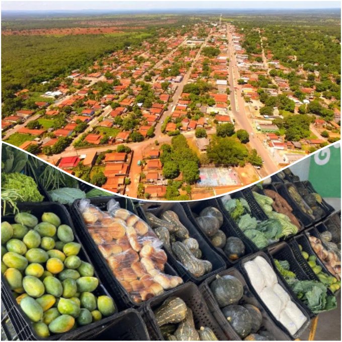CAMPOS VERDES É CONTEMPLADO COM QUASE R$ 400 MIL DO PROGRAMA DE AQUISIÇÃO DE ALIMENTOS 2025