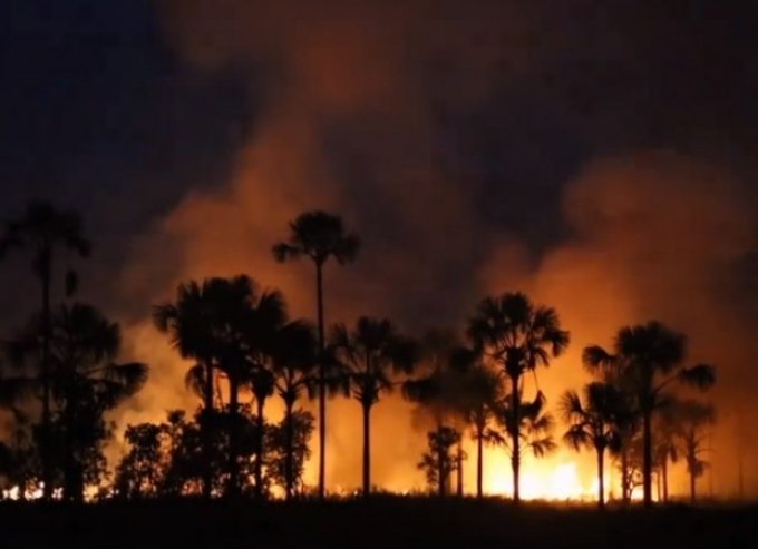 Em trÃªs meses, incÃªndios florestais aumentam quase 26% em GoiÃ¡s