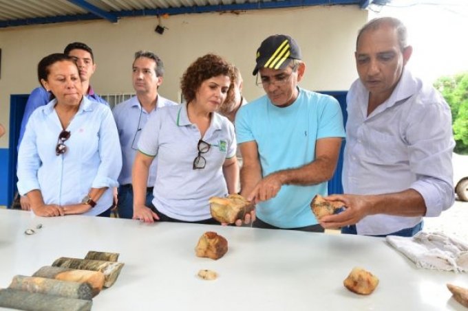 ExtraÃ§Ã£o de esmeraldas em GoiÃ¡s aguarda 54 licenÃ§as ambientais; Campos Verdes projeta 2 mil empregos