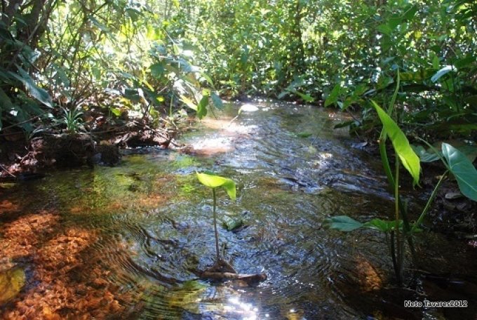 Em Campos Verdes, Prefeitura iniciarÃ¡ recuperaÃ§Ã£o de nascentes em mananciais do municÃ­pio