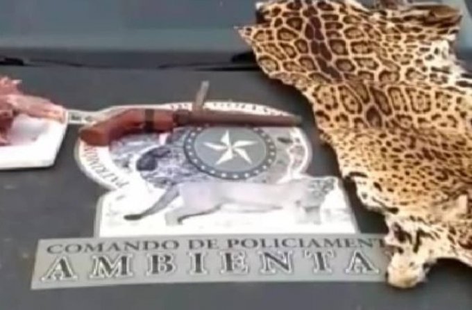 Homem Ã© preso por caÃ§a, na regiÃ£o rural de Campinorte