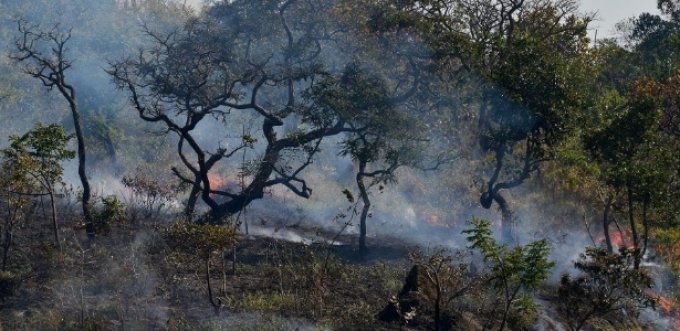 Queimadas aumentam em 25% em GoiÃ¡s