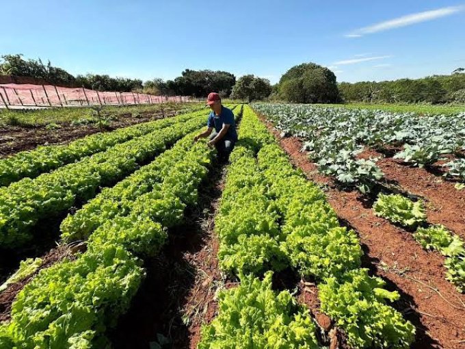 AGRICULTORES FAMILIARES DE CAMPOS VERDES SÃO CONTEMPLADOS PELO PROGRAMA QUINTAIS PRODUTIVOS