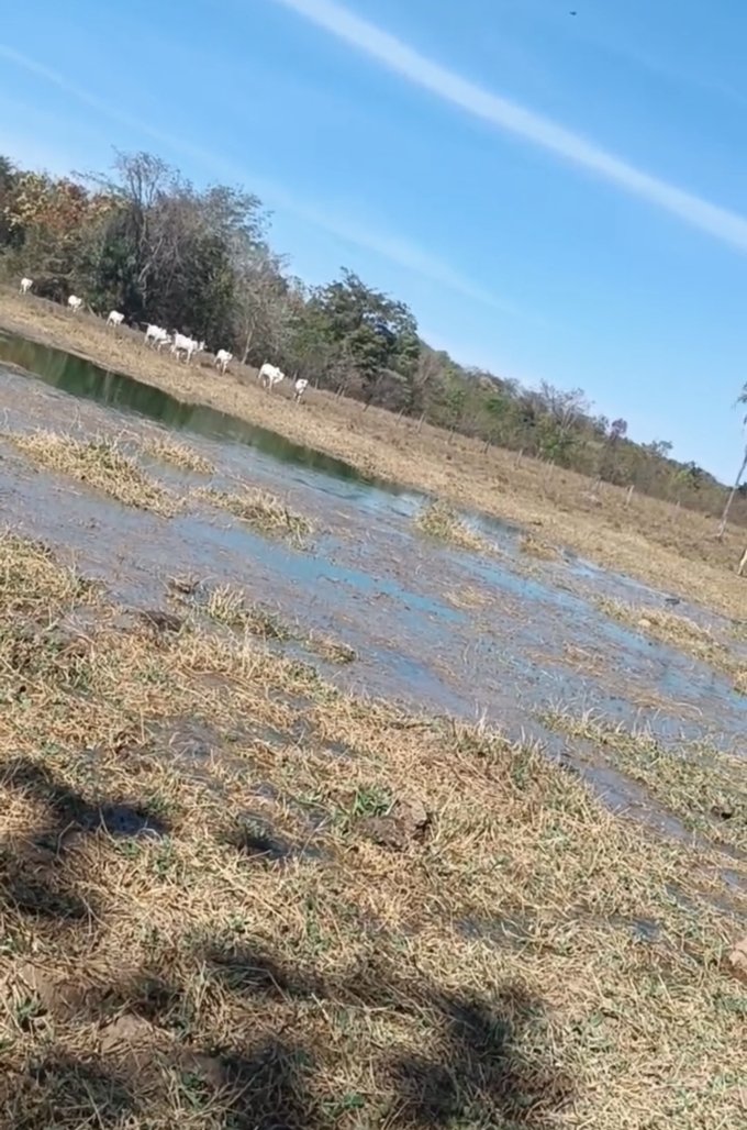 VAZAMENTO EM ESTAÇÃO DE ESGOTO DE ALTO HORIZONTE CAUSA PREJUÍZOS E ALERTA AMBIENTAL