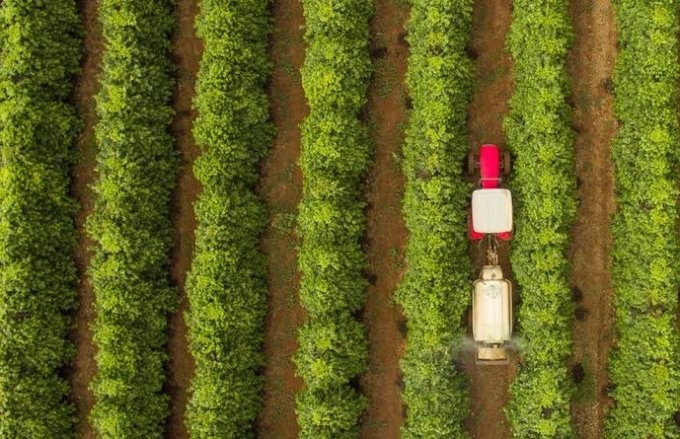 AgropecuÃ¡ria tem pior desempenho no PIB desde 2016, aponta IBGE