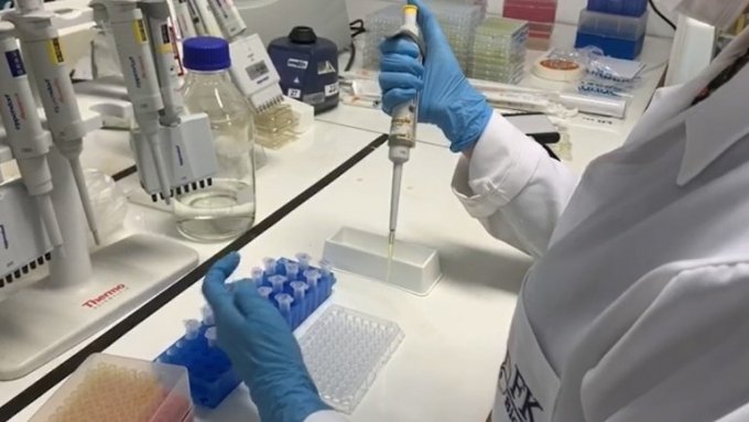 Mais barato, teste para Covid-19 desenvolvido pela UFG Ã© 10 mil vezes mais sensÃ­vel que convencional